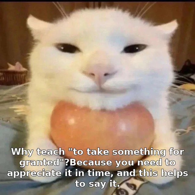 Why teach "to take something for granted"?Because you need to appreciate it in time, and this helps to say it.