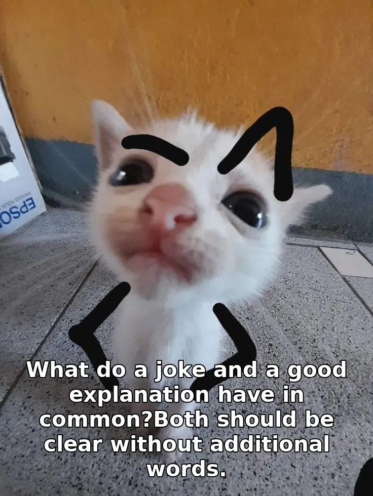 What do a joke and a good explanation have in common?Both should be clear without additional words.