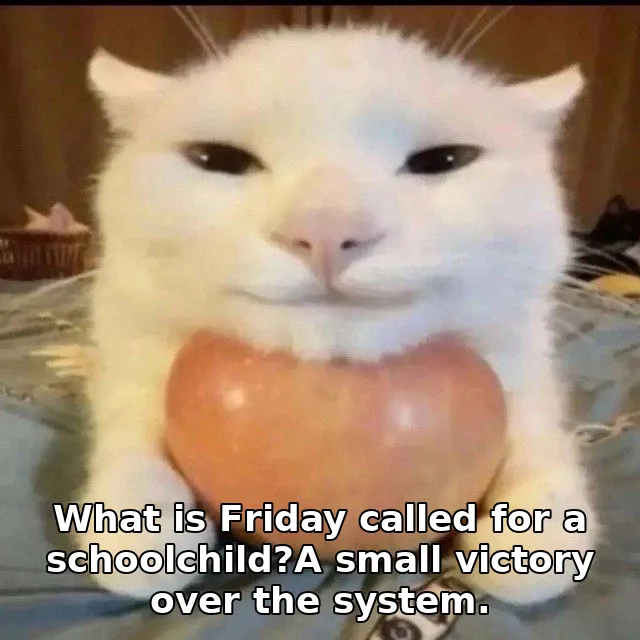 What is Friday called for a schoolchild?A small victory over the system.