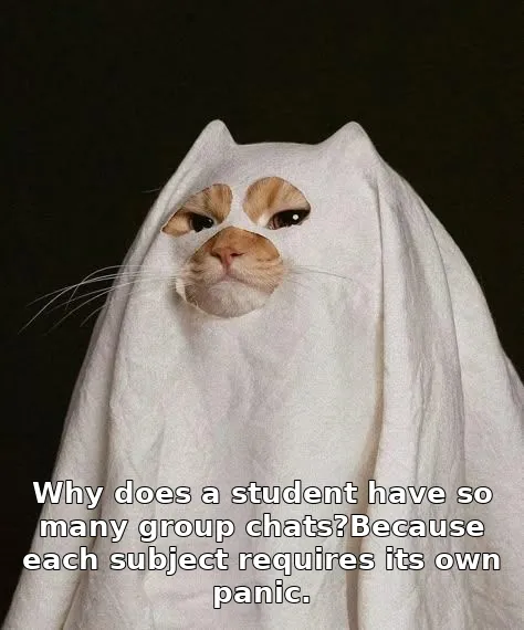 Why does a student have so many group chats?Because each subject requires its own panic.