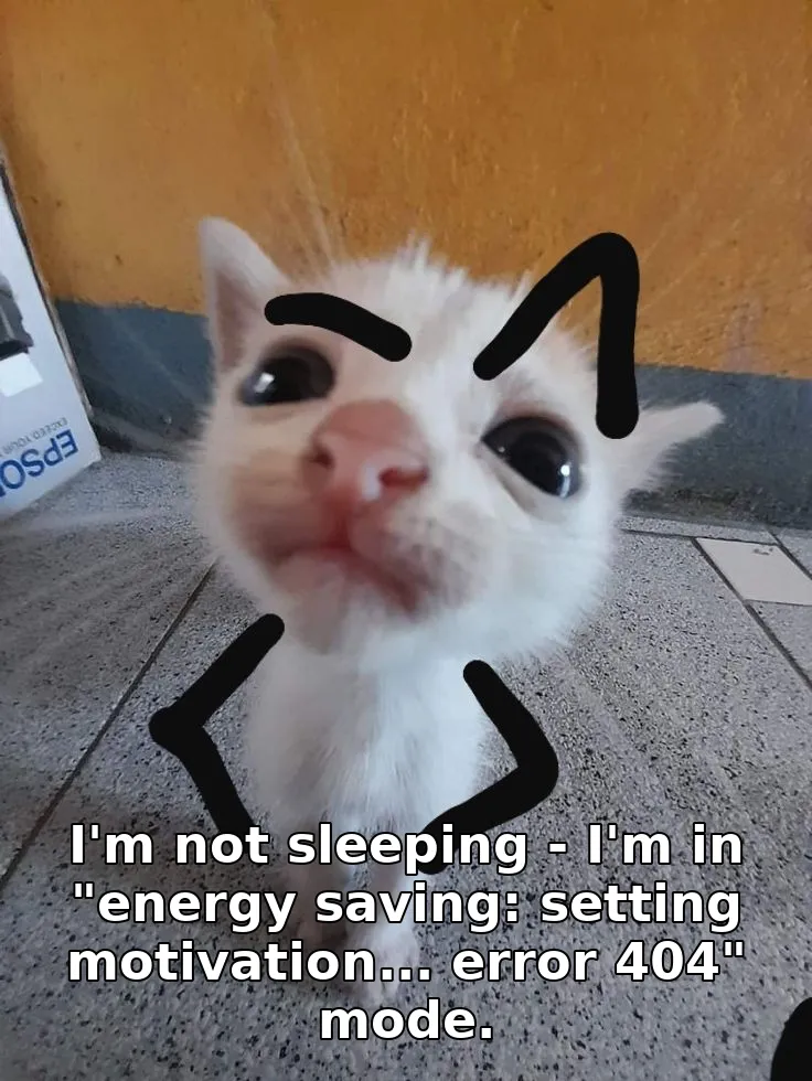 I'm not sleeping - I'm in "energy saving: setting motivation... error 404" mode.