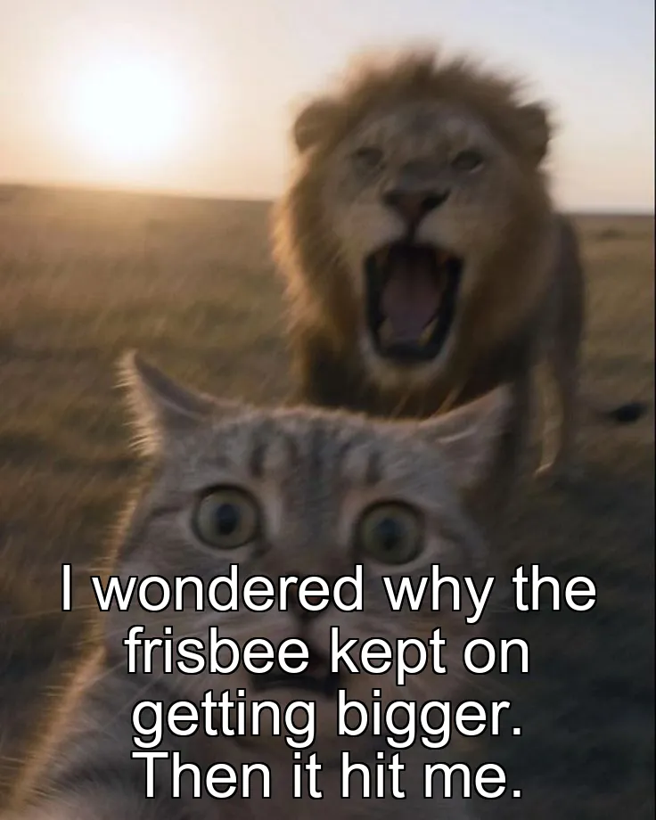 I wondered why the frisbee kept on getting bigger. Then it hit me.