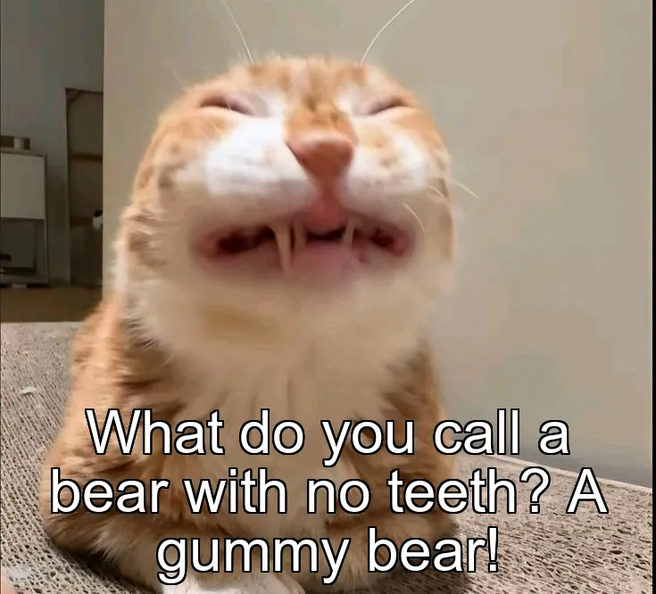 What do you call a bear with no teeth? A gummy bear!
