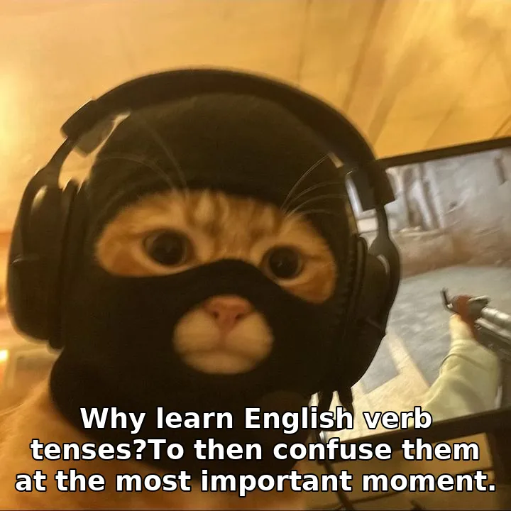 Why learn English verb tenses?To then confuse them at the most important moment.