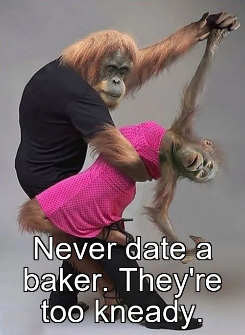 Never date a baker. They're too kneady.