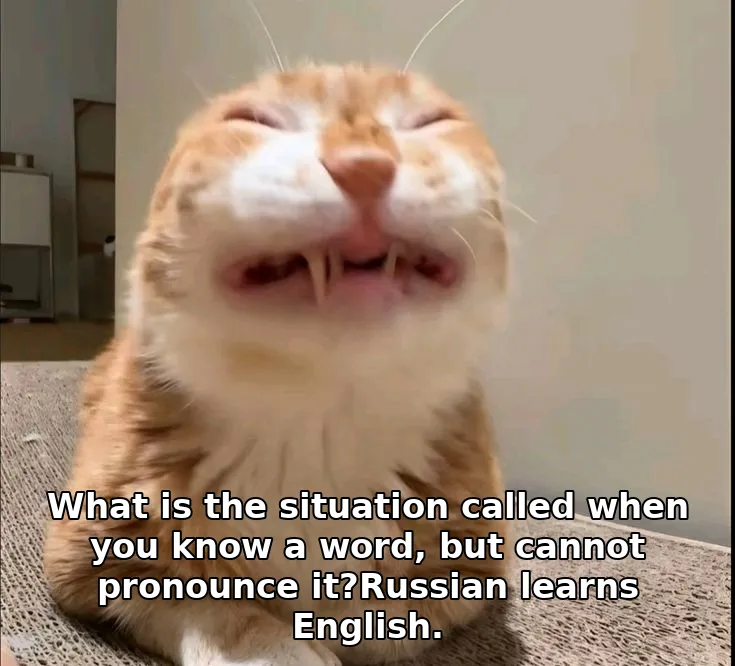 What is the situation called when you know a word, but cannot pronounce it?Russian learns English.