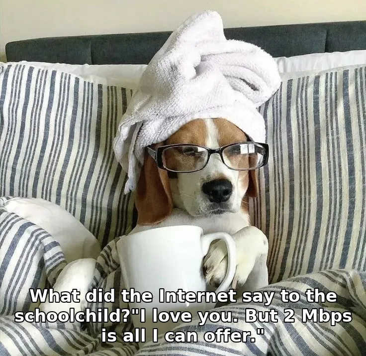 What did the Internet say to the schoolchild?"I love you. But 2 Mbps is all I can offer."