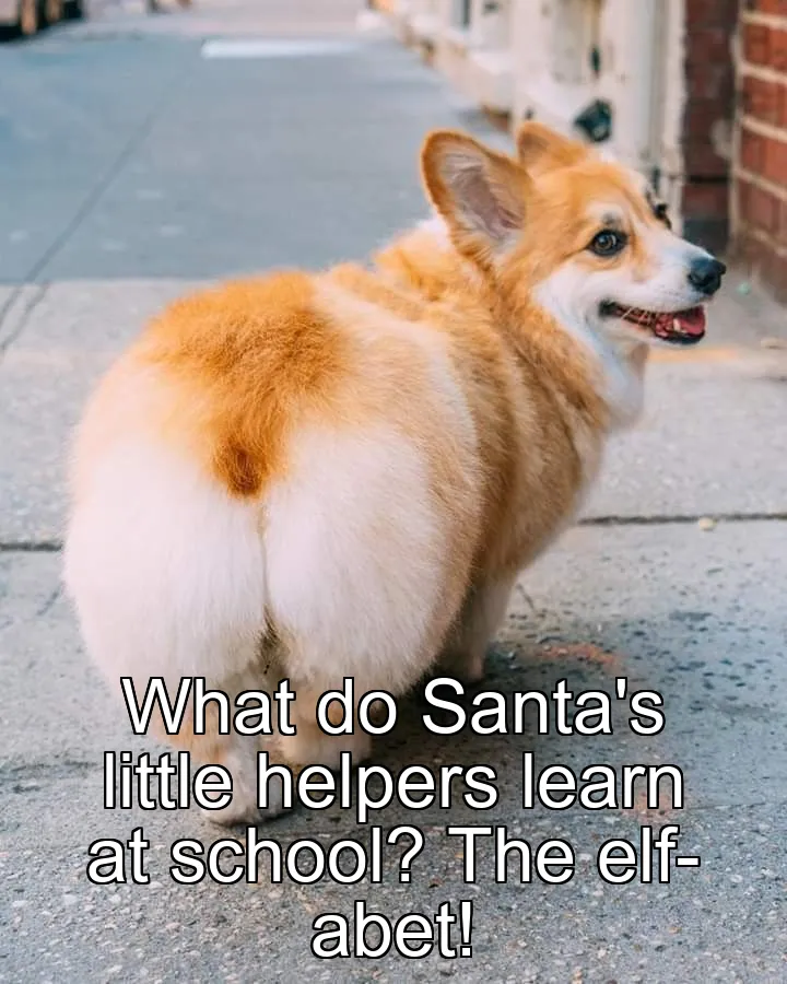 What do Santa's little helpers learn at school? The elf-abet!
