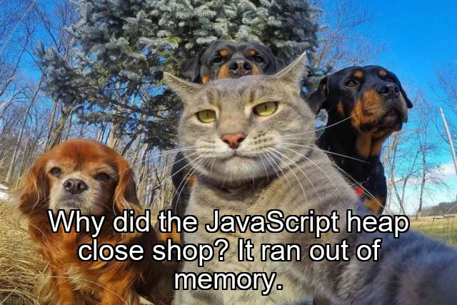 Why did the JavaScript heap close shop? It ran out of memory.
