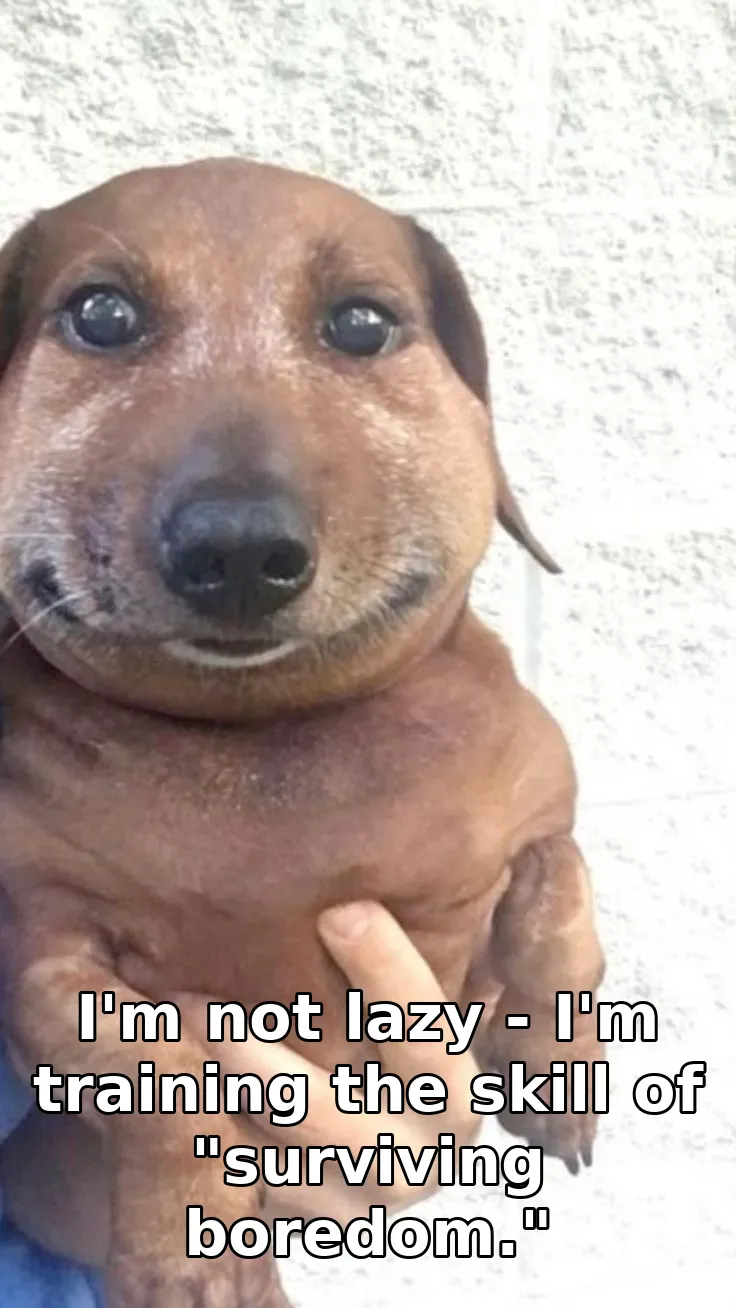 I'm not lazy - I'm training the skill of "surviving boredom."