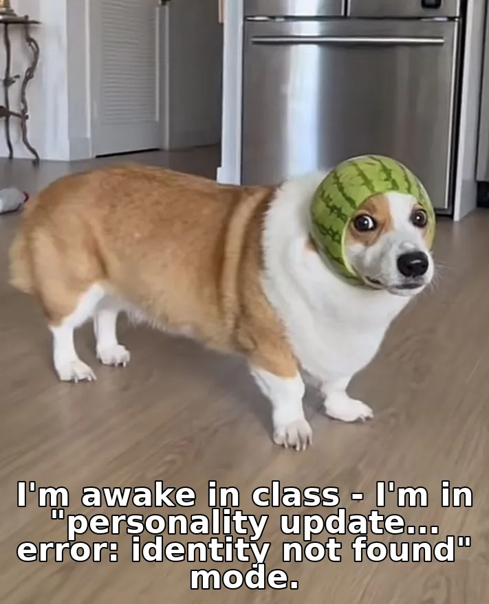 I'm awake in class - I'm in "personality update... error: identity not found" mode.