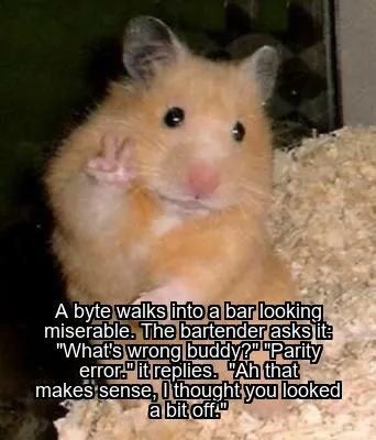 A byte walks into a bar looking miserable.
The bartender asks it: "What's wrong buddy?"
"Parity error." it replies. 
"Ah that makes sense, I thought you looked a bit off."