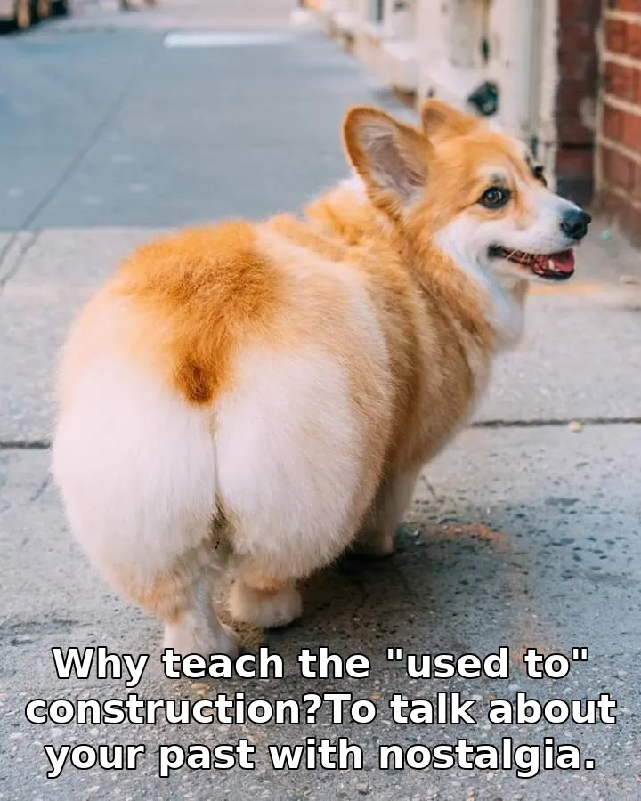 Why teach the "used to" construction?To talk about your past with nostalgia.