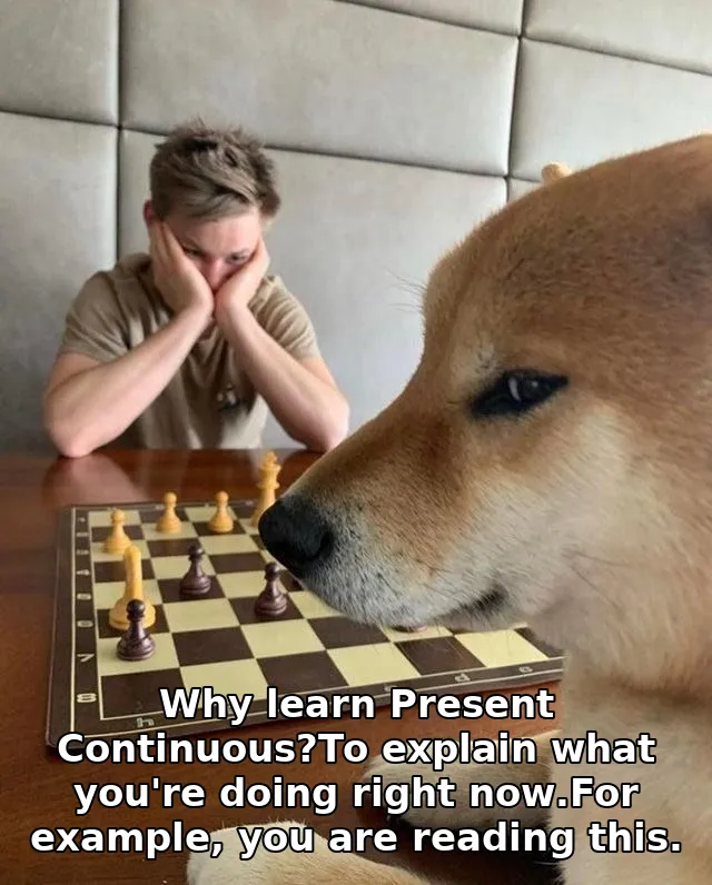 Why learn Present Continuous?To explain what you're doing right now.For example, you are reading this.