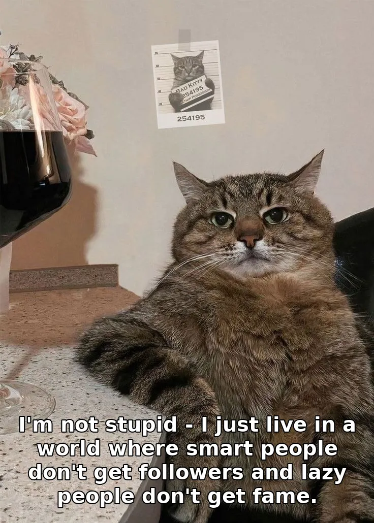 I'm not stupid - I just live in a world where smart people don't get followers and lazy people don't get fame.
