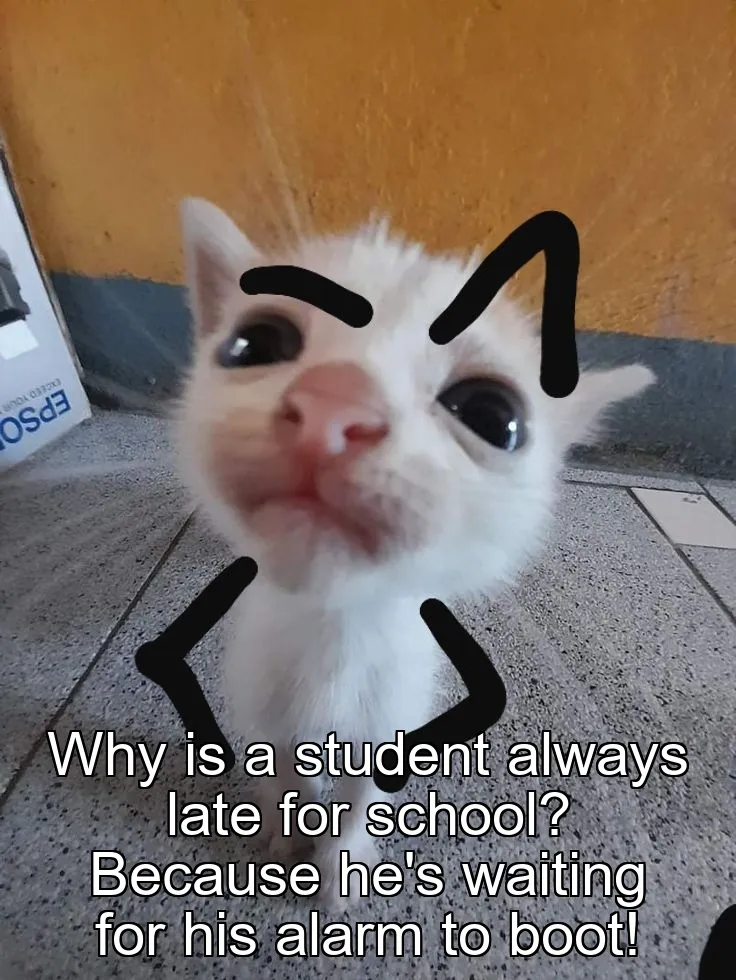 Why is a student always late for school? Because he's waiting for his alarm to boot!