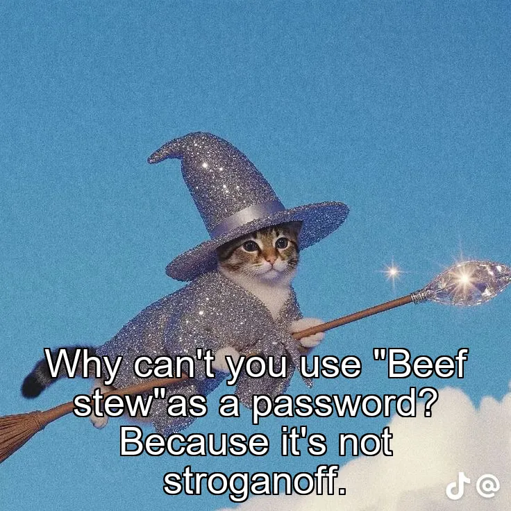 Why can't you use "Beef stew"as a password? Because it's not stroganoff.