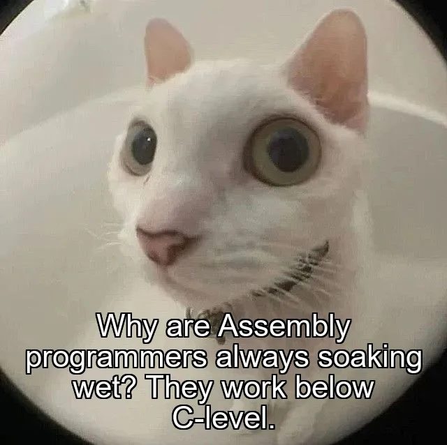 Why are Assembly programmers always soaking wet? They work below C-level.