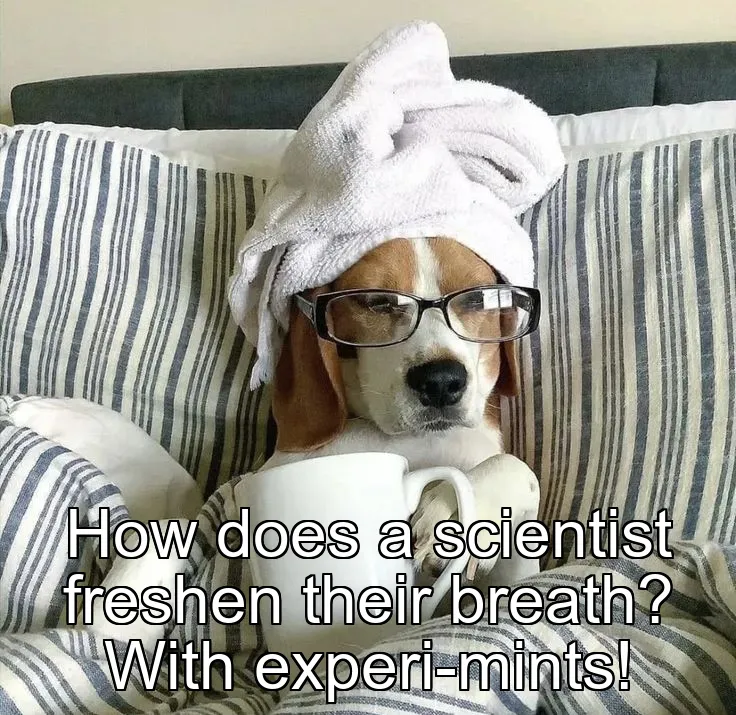 How does a scientist freshen their breath? With experi-mints!