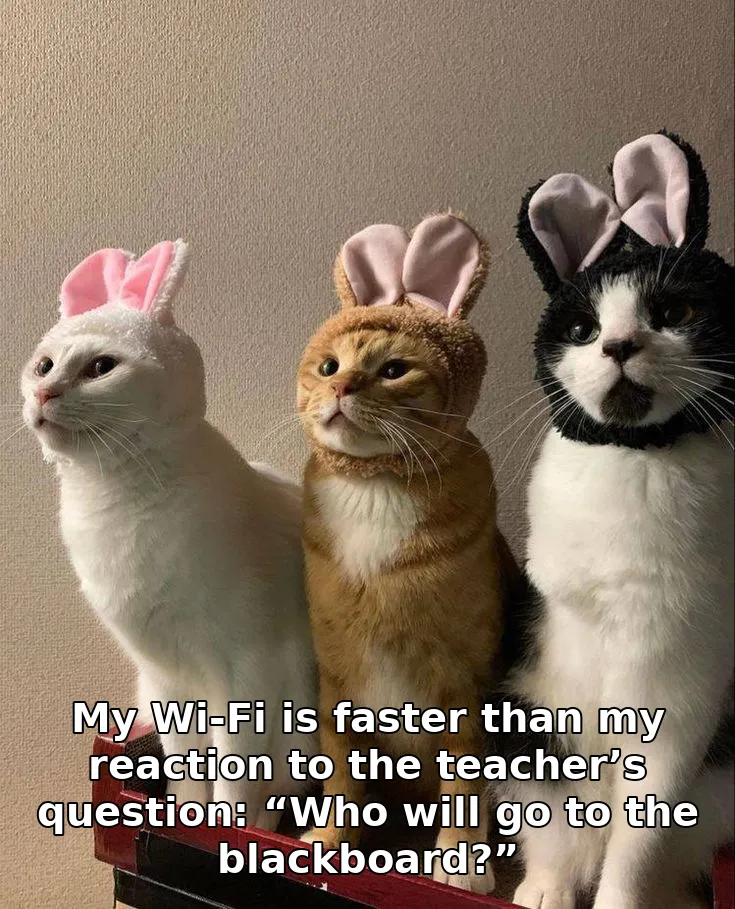 My Wi-Fi is faster than my reaction to the teacher’s question: “Who will go to the blackboard?”