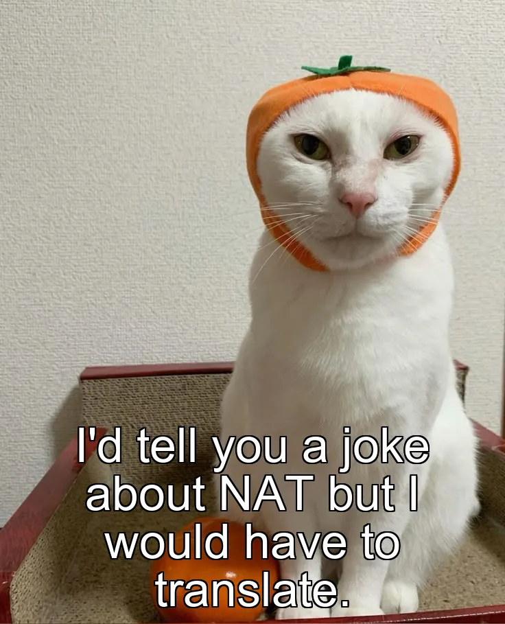 I'd tell you a joke about NAT but I would have to translate.