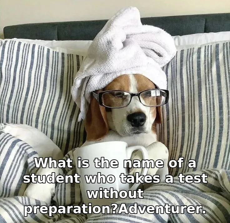 What is the name of a student who takes a test without preparation?Adventurer.