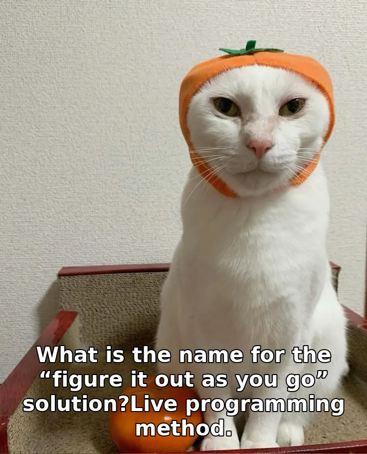 What is the name for the “figure it out as you go” solution?Live programming method.
