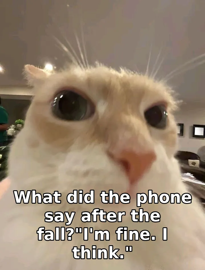 What did the phone say after the fall?"I'm fine. I think."