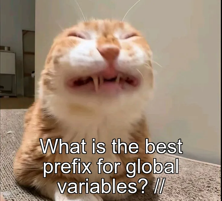 What is the best prefix for global variables? //
