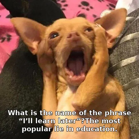 What is the name of the phrase “I’ll learn later”?The most popular lie in education.
