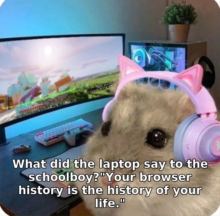 What did the laptop say to the schoolboy?"Your browser history is the history of your life."