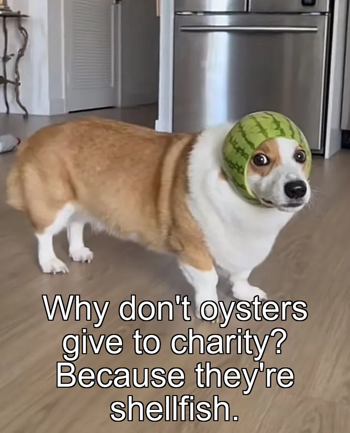 Why don't oysters give to charity? Because they're shellfish.