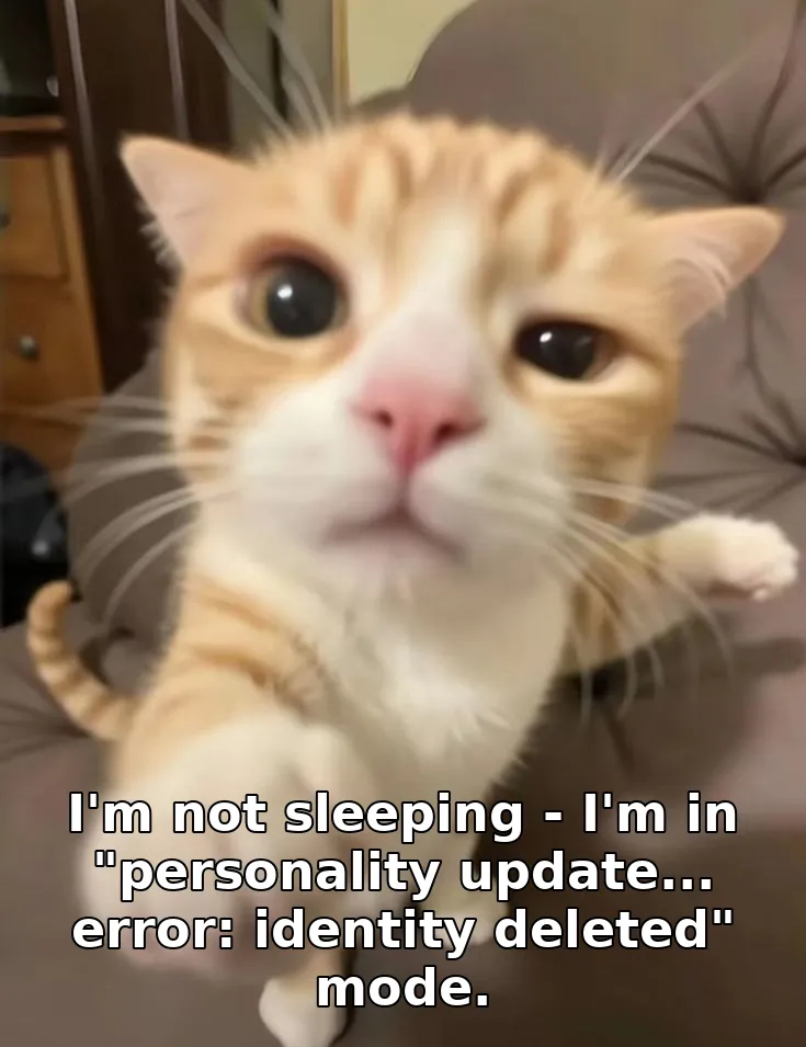 I'm not sleeping - I'm in "personality update... error: identity deleted" mode.