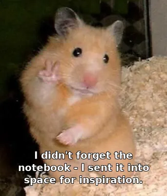 I didn't forget the notebook - I sent it into space for inspiration.