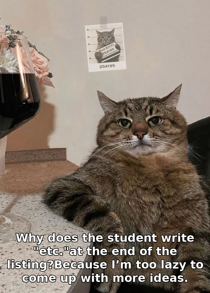Why does the student write "etc."at the end of the listing?Because I’m too lazy to come up with more ideas.