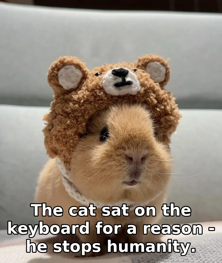 The cat sat on the keyboard for a reason - he stops humanity.