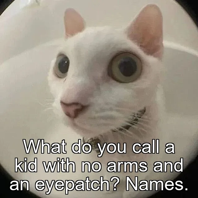 What do you call a kid with no arms and an eyepatch? Names.