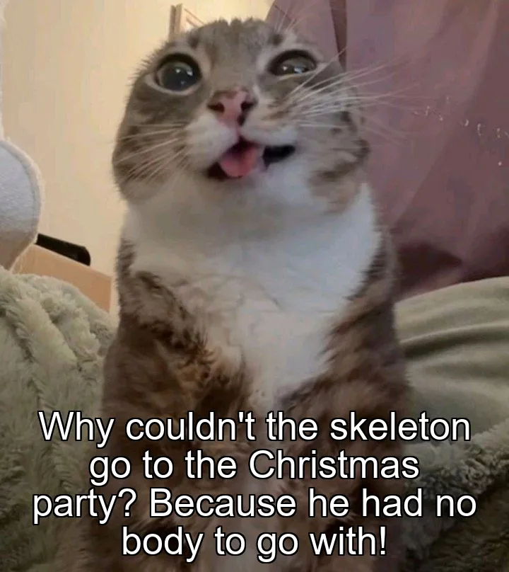 Why couldn't the skeleton go to the Christmas party? Because he had no body to go with!