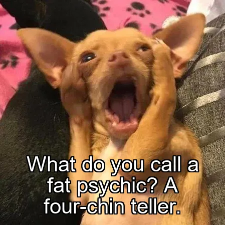 What do you call a fat psychic? A four-chin teller.