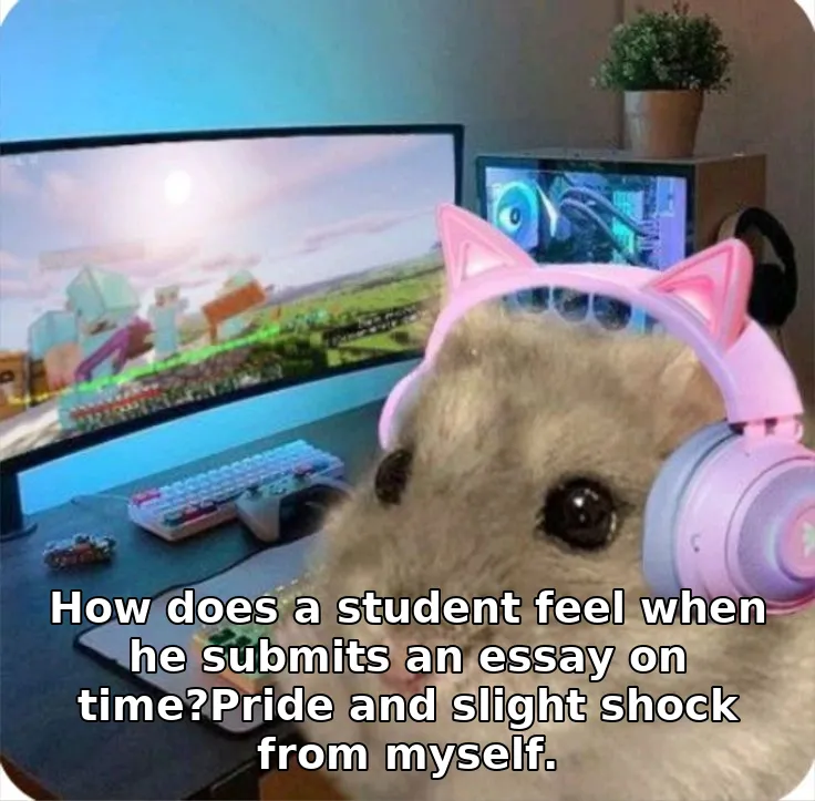 How does a student feel when he submits an essay on time?Pride and slight shock from myself.