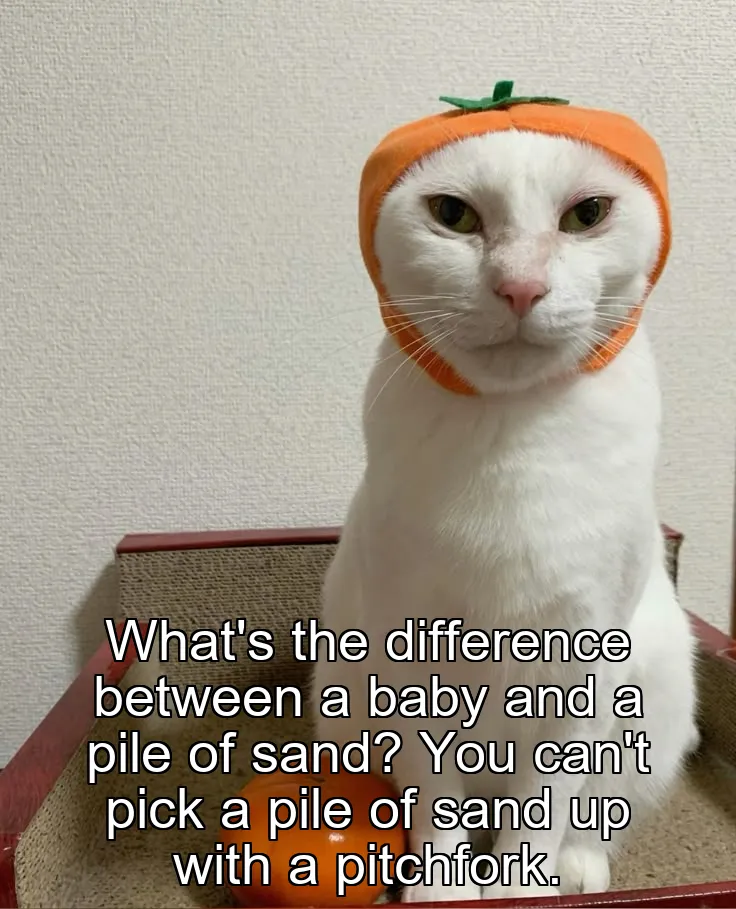 What's the difference between a baby and a pile of sand? You can't pick a pile of sand up with a pitchfork.