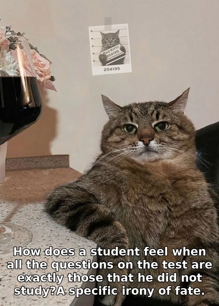 How does a student feel when all the questions on the test are exactly those that he did not study?A specific irony of fate.
