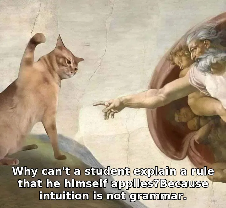 Why can't a student explain a rule that he himself applies?Because intuition is not grammar.