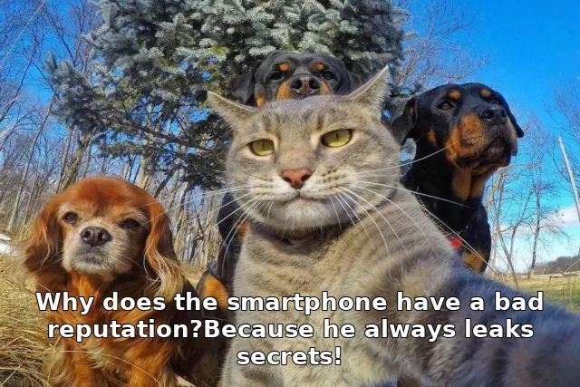 Why does the smartphone have a bad reputation?Because he always leaks secrets!