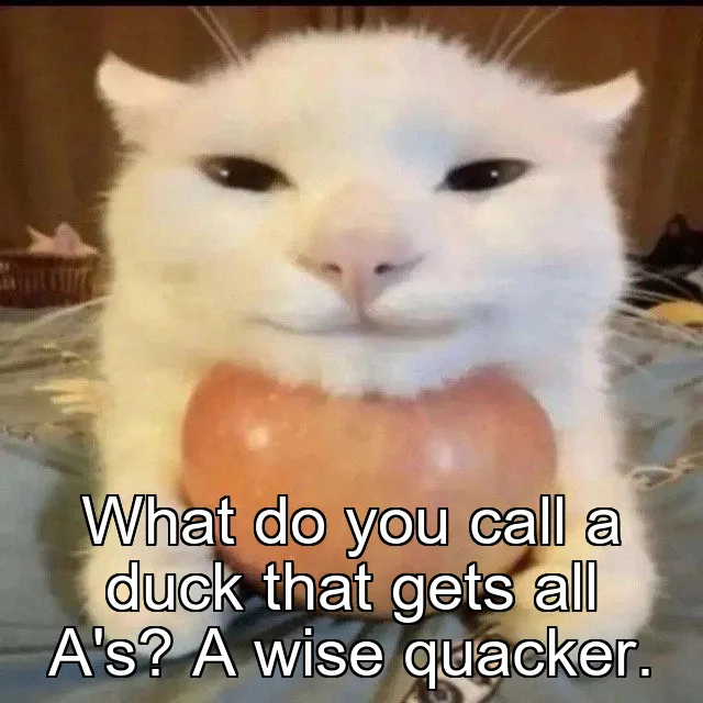 What do you call a duck that gets all A's? A wise quacker.