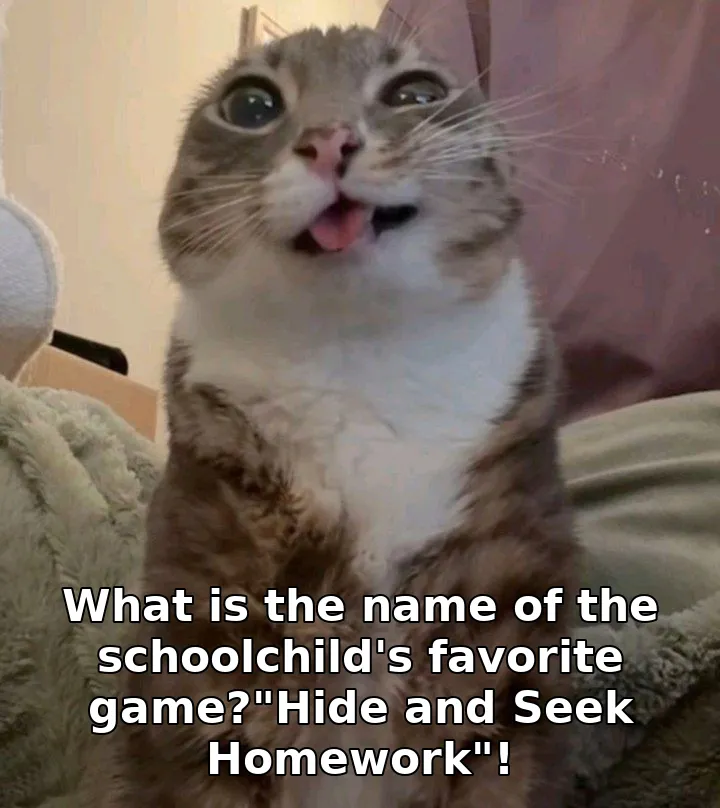 What is the name of the schoolchild's favorite game?"Hide and Seek Homework"!