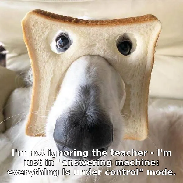 I'm not ignoring the teacher - I'm just in "answering machine: everything is under control" mode.