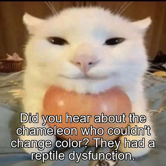 Did you hear about the chameleon who couldn't change color? They had a reptile dysfunction.