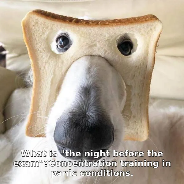 What is "the night before the exam"?Concentration training in panic conditions.
