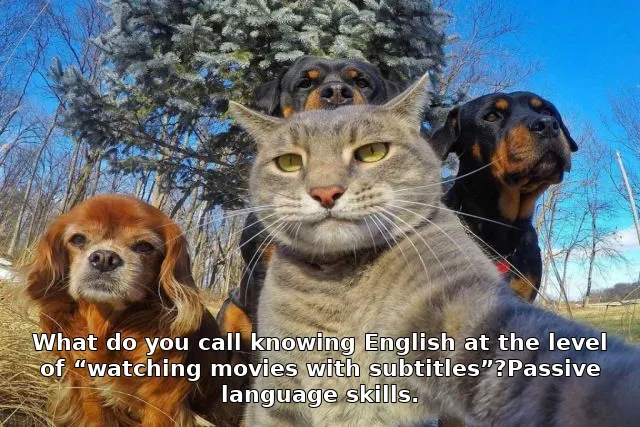 What do you call knowing English at the level of “watching movies with subtitles”?Passive language skills.